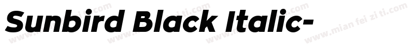 Sunbird Black Italic字体转换